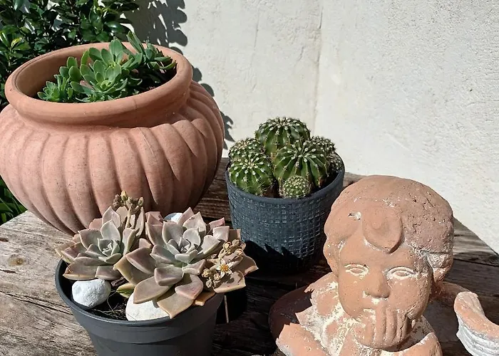 Jolie Lalou Cote D'azur Bed & Breakfast 4*