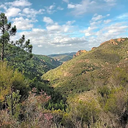 Jolie Lalou Cote D'azur 4* Fréjus