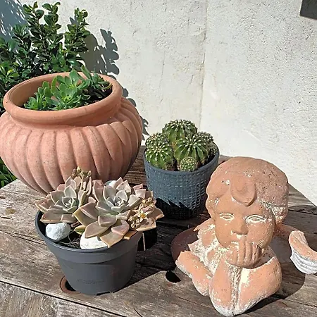 Jolie Lalou Cote D'azur Bed & Breakfast